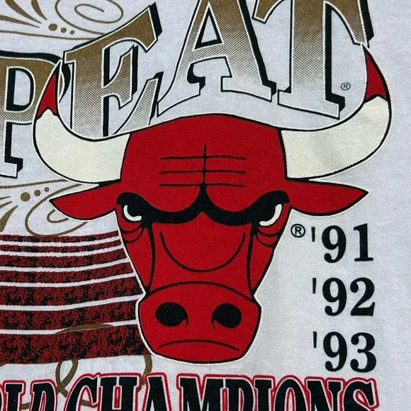 💥SOLD💥 NWT Vintage 1993 Chicago Bulls 🏀 NBA Finals tee shirt Spectator - Picture 11 of 16